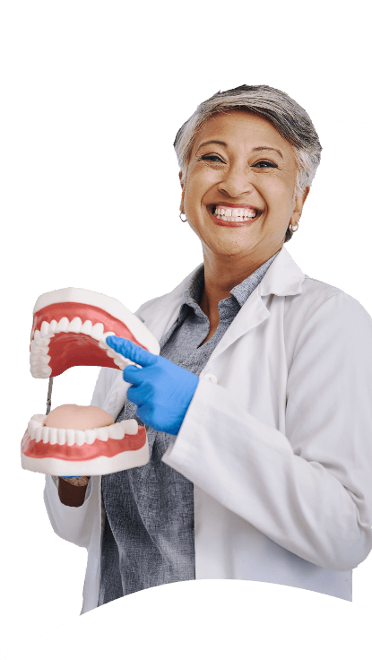 Smiling woman holding a dental example image